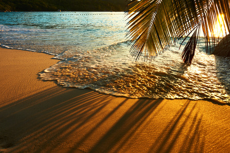 Beautiful sunset at Seychelles beach with palm tree shadow over sandの写真素材