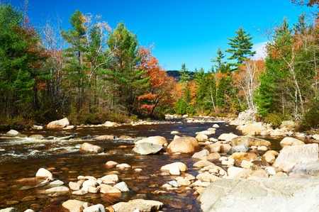 Swift River at autumn in White Mountain National Forest, New Hampshire, USA.の写真素材