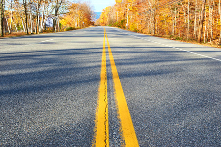Autumn scene with road in forest