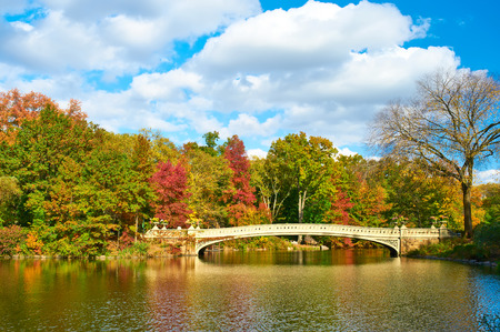 New York City Central Park in autumn dayの写真素材