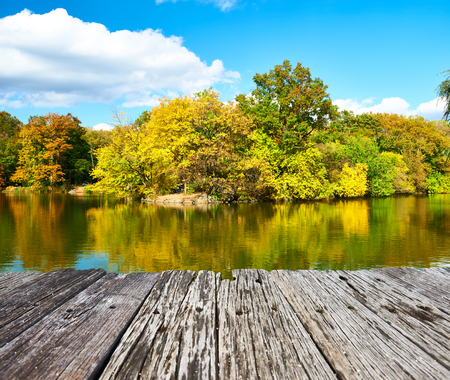 New York City Central Park in autumn dayの写真素材