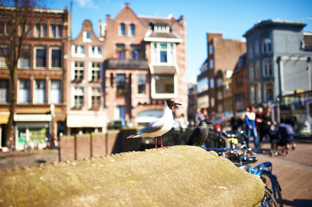 AMSTERDAM, NETHERLANDS - APRIL 1 2013: Amsterdam street at spring, April 1, 2013のeditorial素材