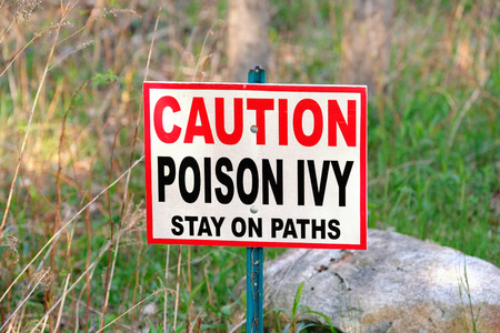 Poison Ivy warning sign in forest