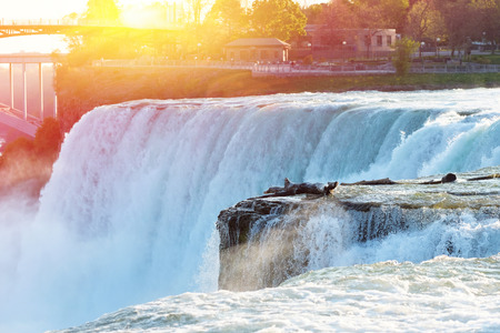 American side of Niagara Falls, New York, USAの写真素材