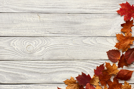 Textured vintage rustic wooden background with autumn yellow leaves