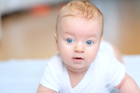 Four months old baby with blue eyesの写真素材