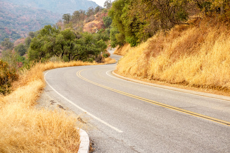 Sequoia National Park Road at autumn. California, United States.