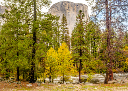 Yosemite National Park Valley at cloudy autumn morning. Low clouds lay in the valley. California, USA.の写真素材