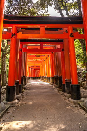 Wooden Torii Gates at Fushimi Inari Shrine, Kyoto, Japanのeditorial素材