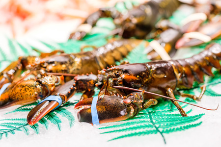 Fresh lobsters at seafood marketの写真素材