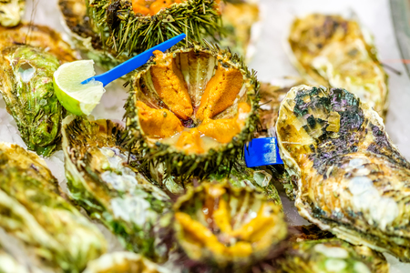 Fresh sea urchins on cooled market display