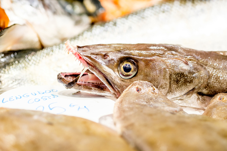 Fresh fish on cooled market display