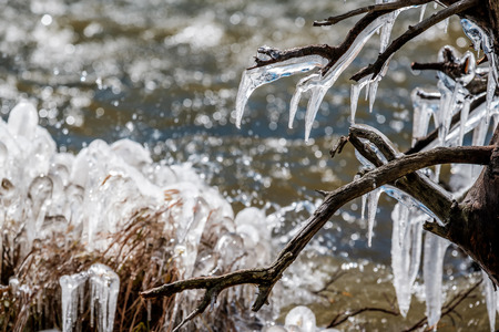 The Loch Lake at autumn. Icicles on trees and grass created by wind and water. Rocky Mountain National Park in Colorado, USA.の写真素材