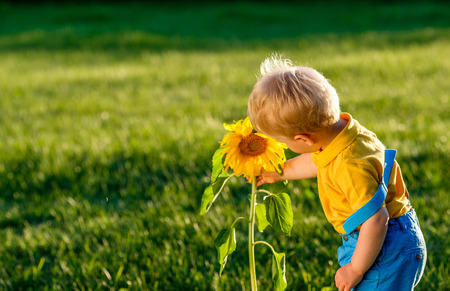 Portrait of toddler child outdoors. Rural scene with one year old baby boy looking at sunflowerの写真素材