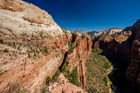 Landscape with rock formations in Zion National Park, Utah, USAの写真素材
