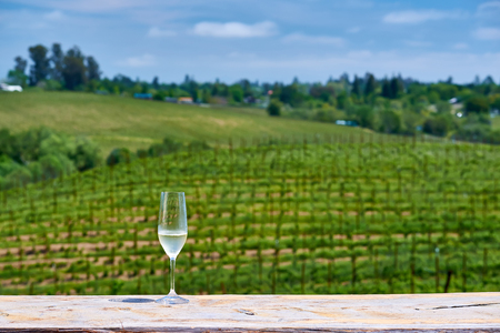 Wine tasting in California. Glass of white wine and vineyards.の写真素材