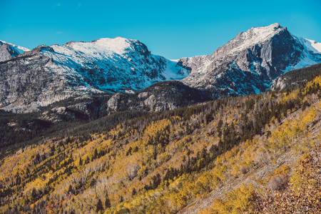 Aspen grove at autumn. Rocky Mountain National Park. Colorado, USA.の写真素材