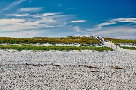 Access trail to Crane beach, Ipswich, Massachusetts, USAの写真素材