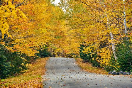Autumn road in Maine, USA.の写真素材