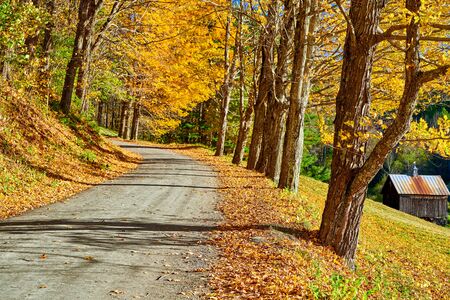 Dirt unpaved gravel road at autumn day in Vermont, USA.の写真素材
