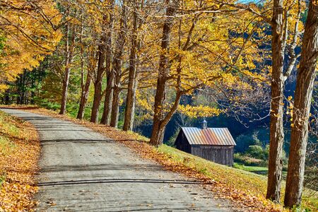 Dirt unpaved gravel road at autumn day in Vermont, USA.の写真素材