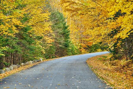 Autumn road in Maine, USA.の写真素材