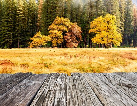 Yosemite National Park Valley at cloudy autumn morning. Low clouds lay in the valley. California, USA.の写真素材