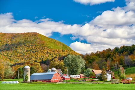 Farm with red barn and silos at sunny autumn day in West Arlington, Vermont, USAの写真素材
