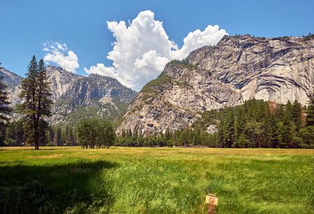 Meadow in Yosemite National Park Valley. California, USA.の写真素材