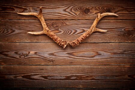 Deer antlers on vintage wooden background. Hunting concept.の写真素材
