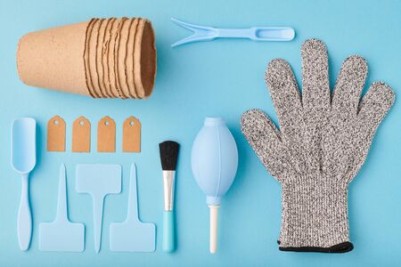 Gardening tools on blue background flat lay top view の写真素材