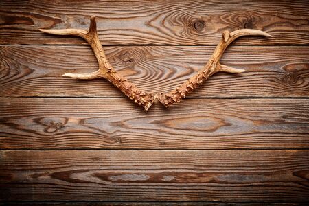 Deer antlers on vintage wooden background. Hunting concept. の写真素材