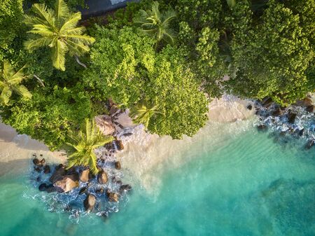 Beautiful beach with palm tree and rocks aerial top view drone shot at Seychelles, Maheの写真素材