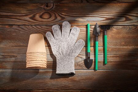 Gardening tools on wooden background flat lay top view の写真素材