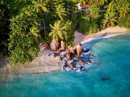 Beautiful beach with palm trees aerial top view drone shot at Seychelles, Maheの写真素材