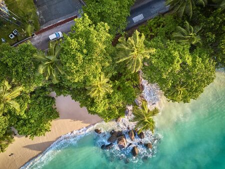 Beautiful beach with palm tree and rocks aerial top view drone shot at Seychelles, Maheの写真素材