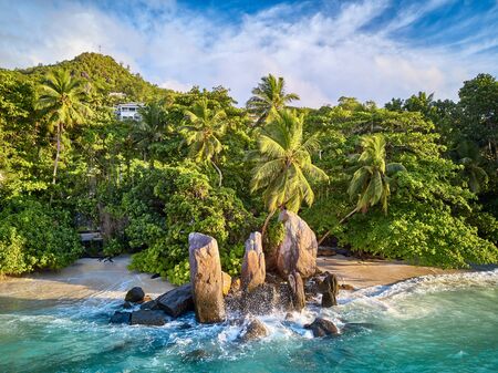 Beautiful beach with palm tree and rocks aerial top view drone shot at Seychelles, Maheの写真素材