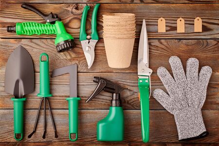 Gardening tools on wooden background flat lay top view の写真素材