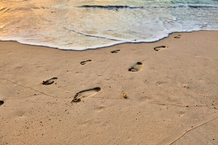 Ffootprints of adult and child on the beach with golden sandの写真素材