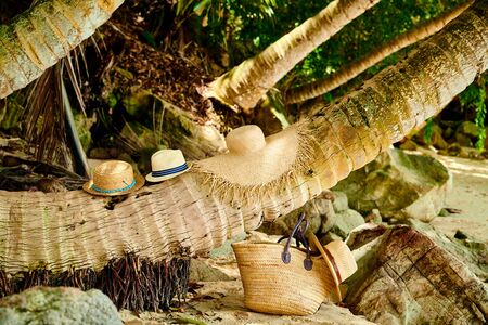 Beach bag and hats by palm tree at Mahe, Seychelles.の写真素材