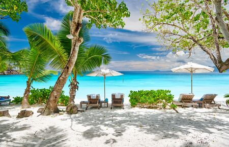 Beautiful Petite Anse beach with palm tree at Seychelles, Maheの写真素材