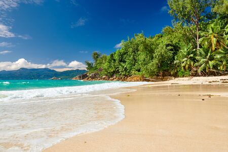 Beautiful beach Anse Soleil with palm tree at Seychelles, Maheの写真素材