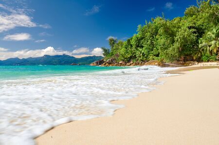 Beautiful beach Anse Soleil with palm tree at Seychelles, Maheの写真素材