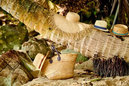 Beach bag and hats by palm tree at Mahe, Seychelles.の写真素材