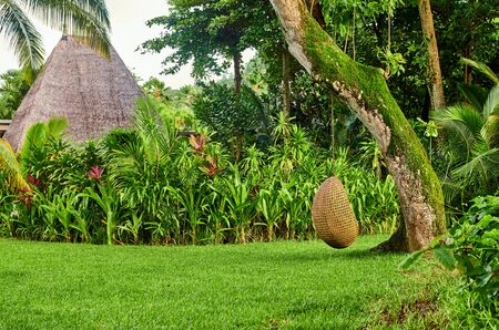 Beach swing egg chair at Mahe, Seychellesの写真素材