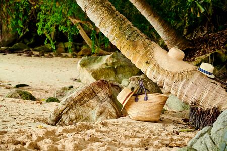 Beach bag and hats by palm tree at Mahe, Seychelles.の写真素材