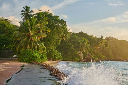 Beautiful beach with palm tree and rocks landscape at Seychelles, Maheの写真素材