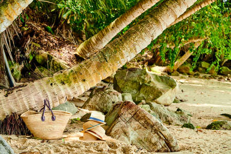 Beach bag and hats by palm tree at Mahe, Seychelles.の写真素材