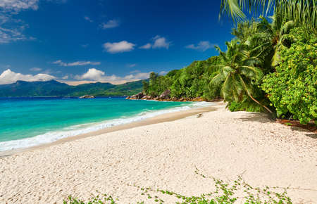 Beautiful beach Anse Soleil with palm tree at Seychelles, Maheの写真素材