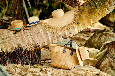 Beach bag and hats by palm tree at Mahe, Seychelles.の写真素材